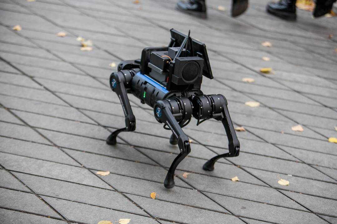 Laisvės alėjoje – pažintis su keturkoju robotu