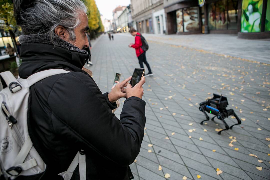 Laisvės alėjoje – pažintis su keturkoju robotu
