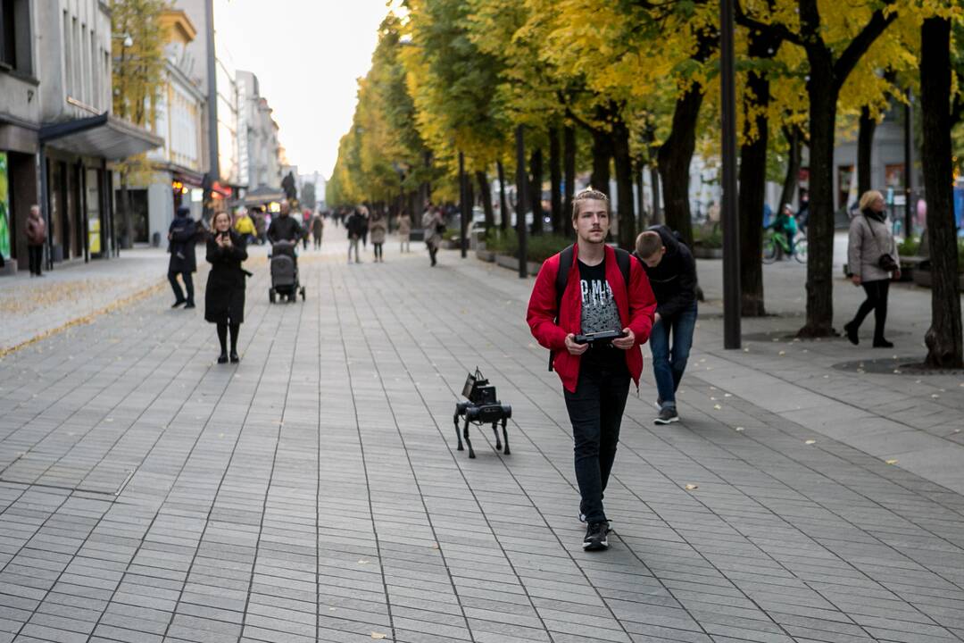 Laisvės alėjoje – pažintis su keturkoju robotu