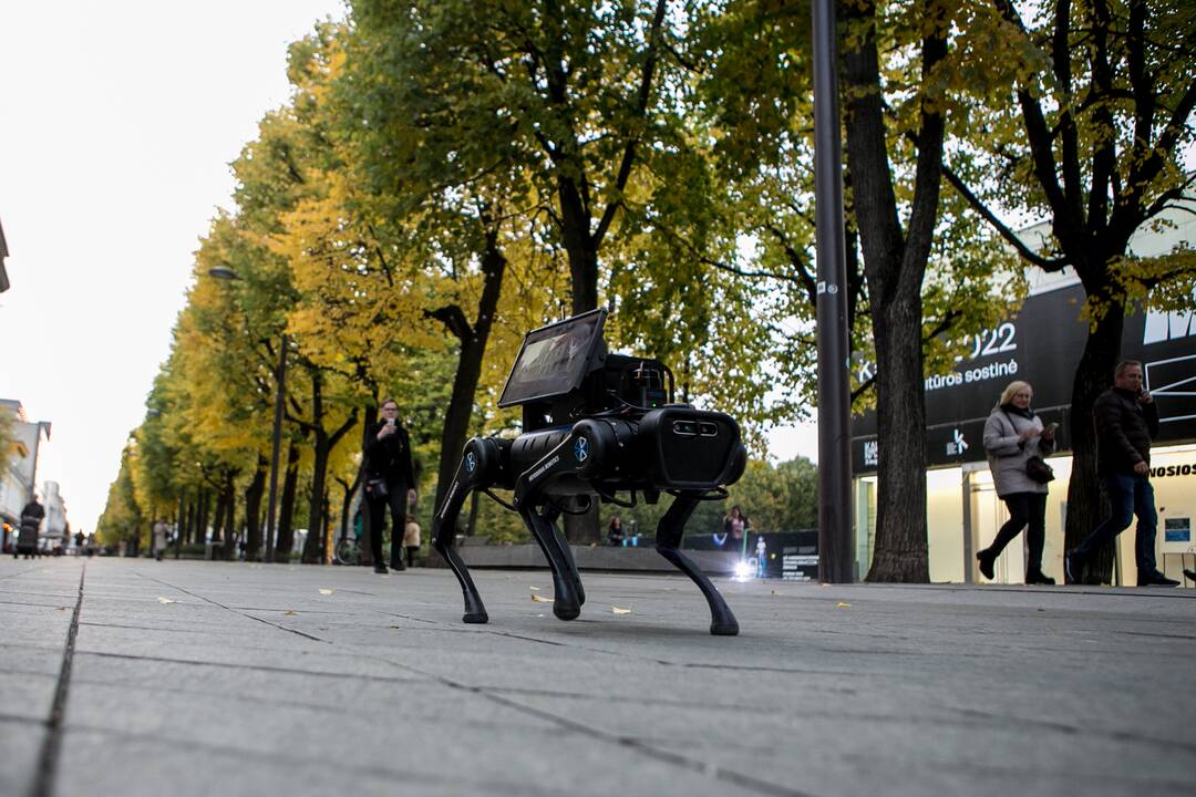 Laisvės alėjoje – pažintis su keturkoju robotu