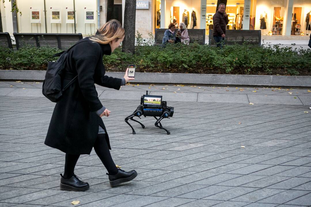 Laisvės alėjoje – pažintis su keturkoju robotu