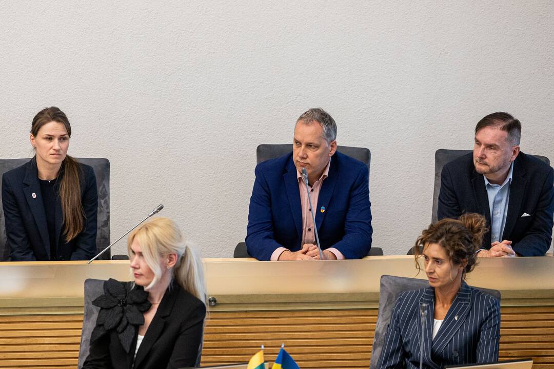 Balsavimas dėl Linos Petronienės paskyrimo į VRK pirmininkus