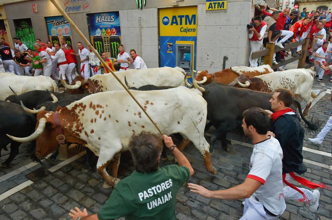 Bėgimas su buliais Pamplonoje