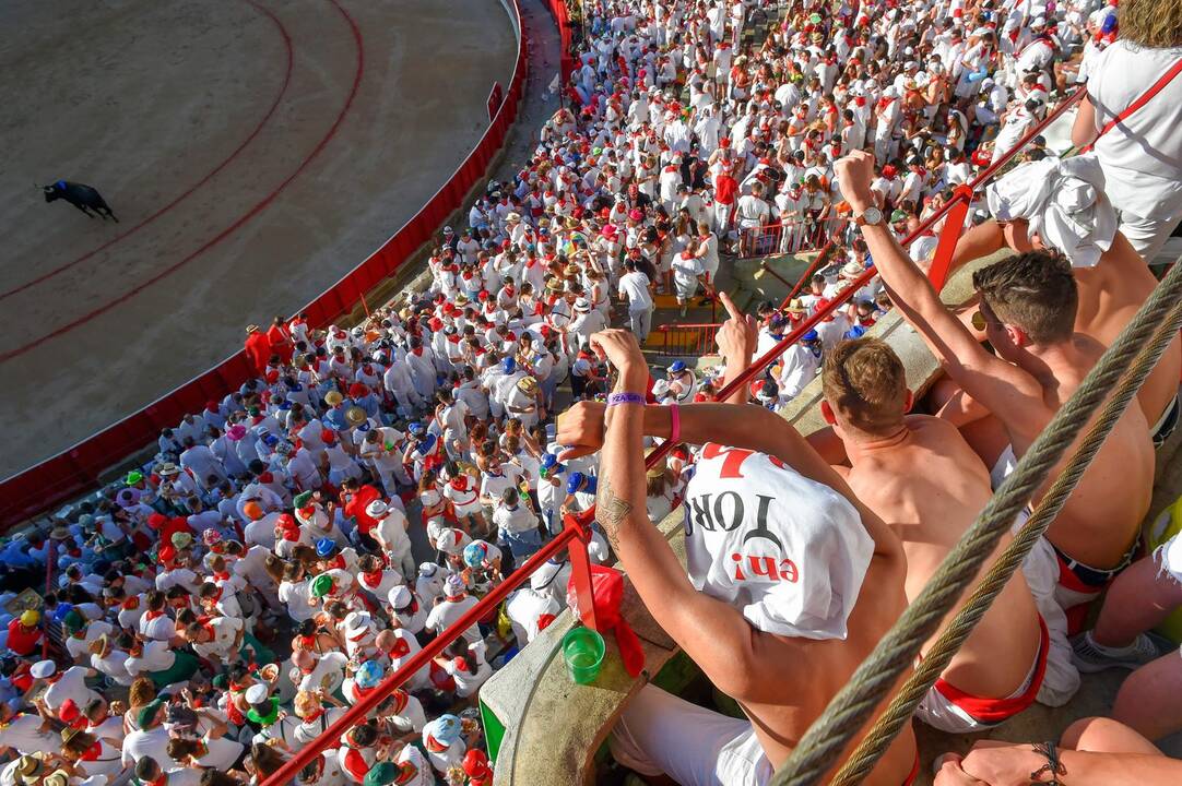Bėgimas su buliais Pamplonoje