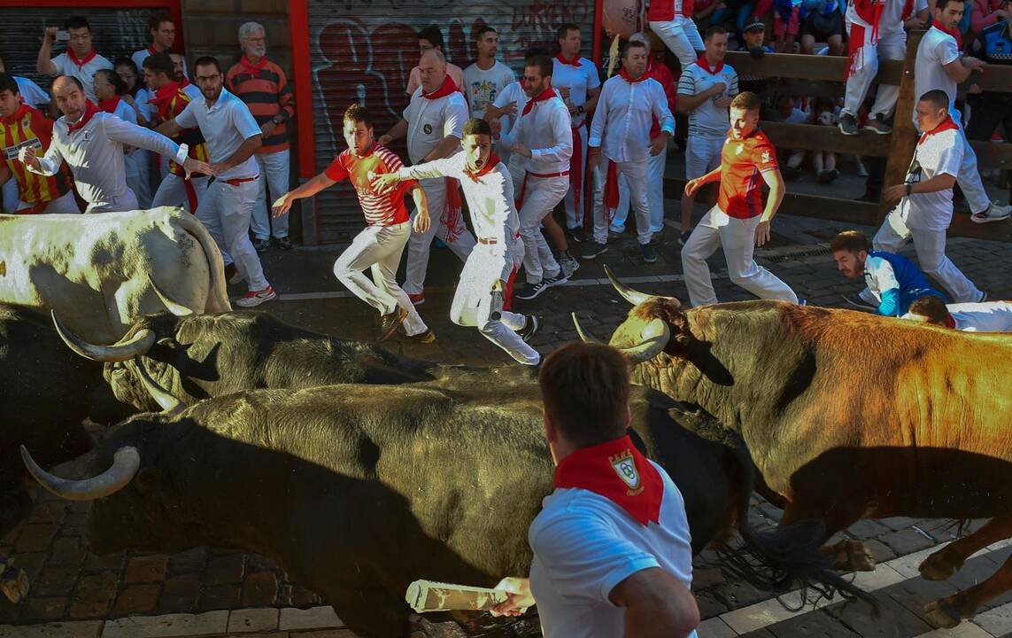 Bėgimas su buliais Pamplonoje