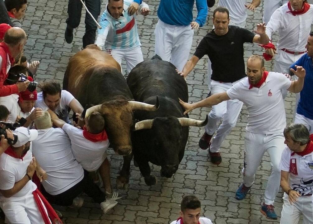 Bėgimas su buliais Pamplonoje