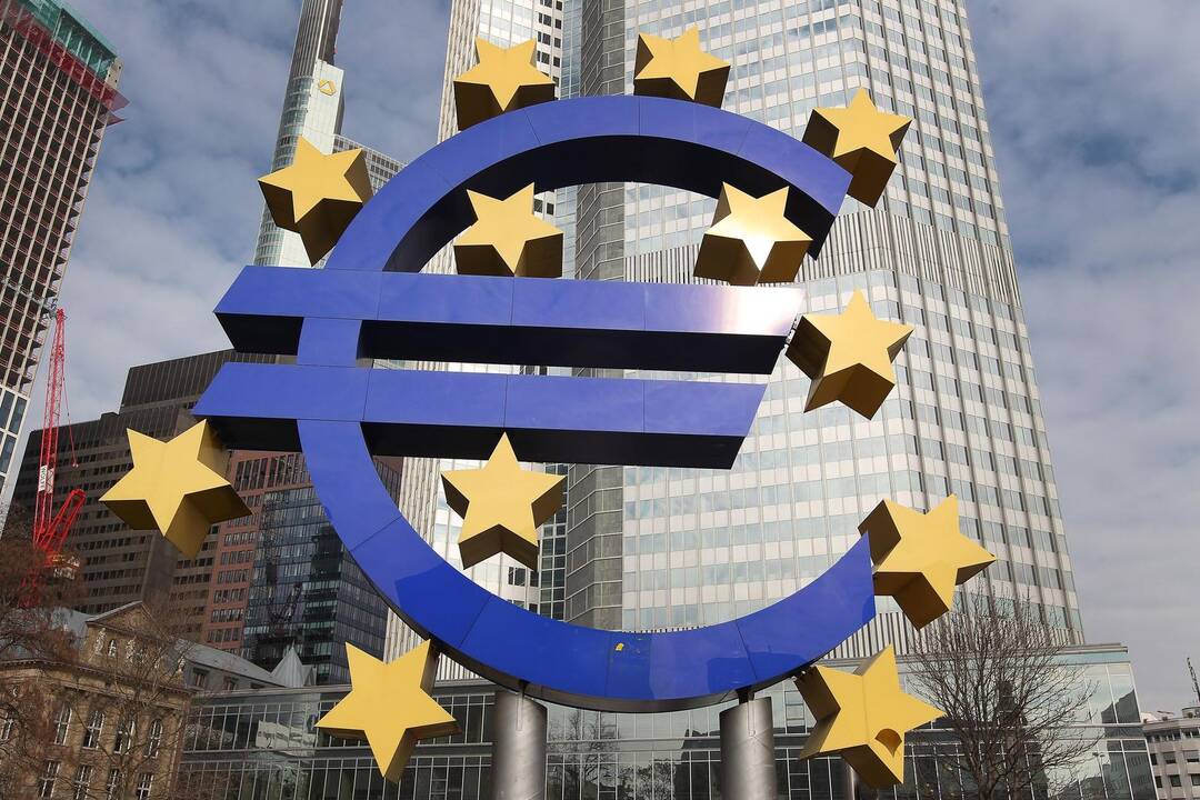 V. Šapoka: nesame įsitikinę atskiro euro zonos biudžeto nauda