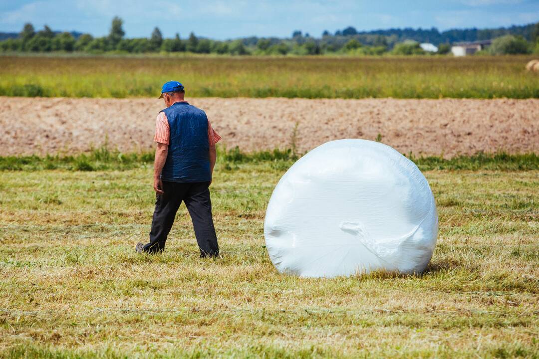 Žemės ūkių modernizavimui ūkininkai prašė 36 mln. eurų paramos