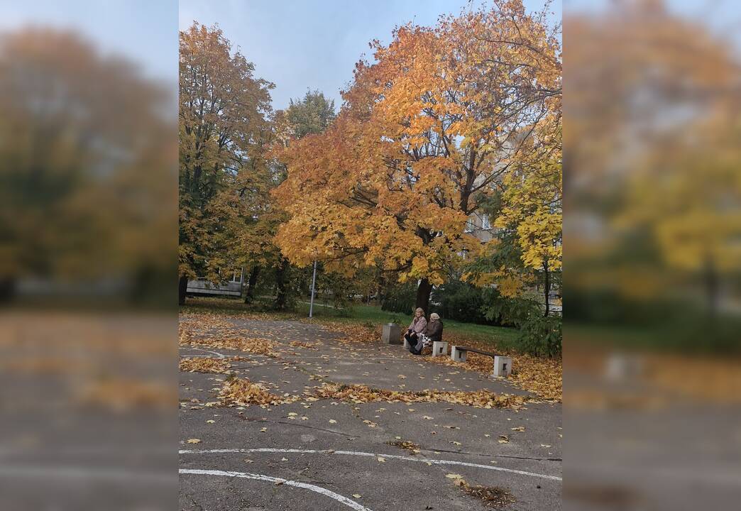 Prognozės: lietaus nenumatoma tik šį sekmadienį ir ateinantį ketvirtadienį, tad pasidžiaugti sausu spalvingu rudeniu galimybių lieka nedaug.