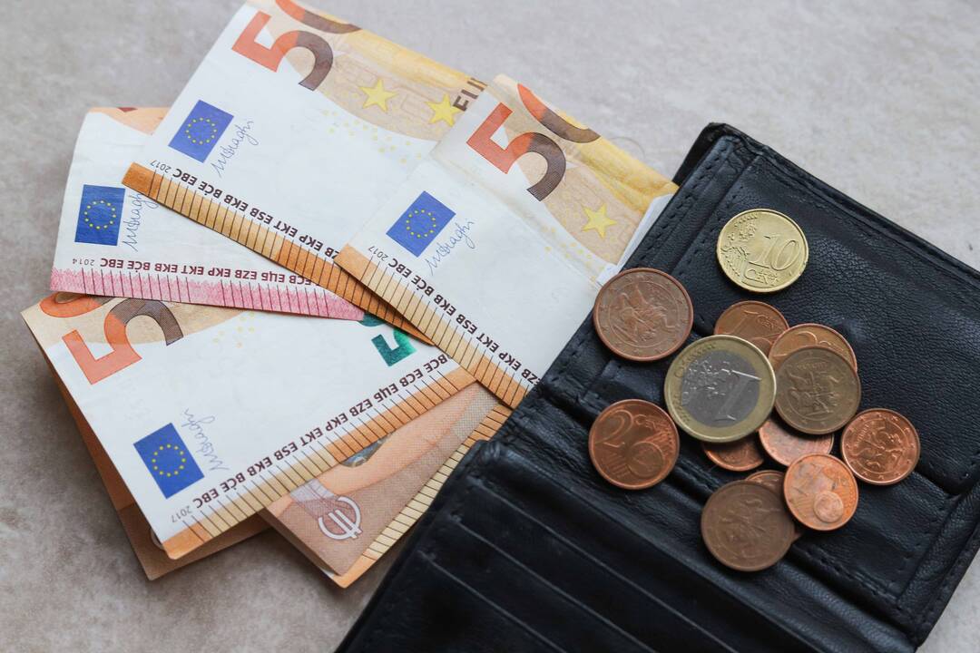 Subsidijos vykdantiems individualią veiklą: ką svarbu žinoti?