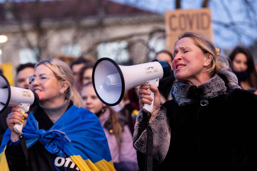 Ukrainos palaikymo akcija prie Seimo