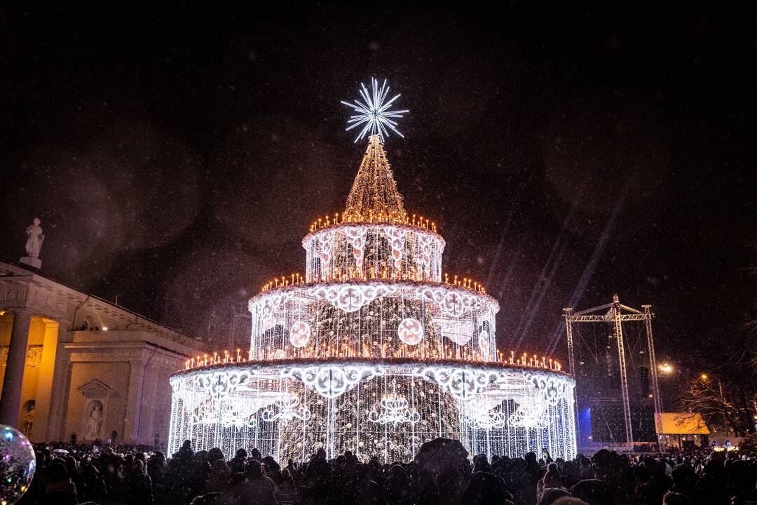 Sostinės Katedros aikštėje įžiebta Kalėdų eglė