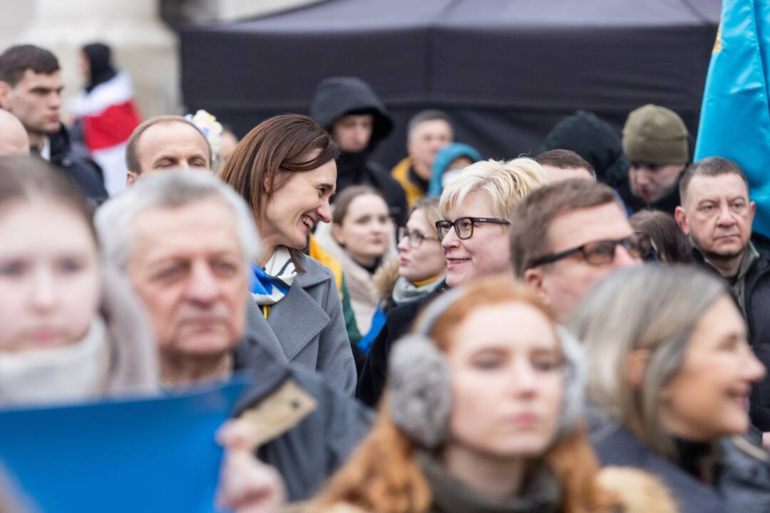 Mitingas ir eitynės Ukrainai palaikyti