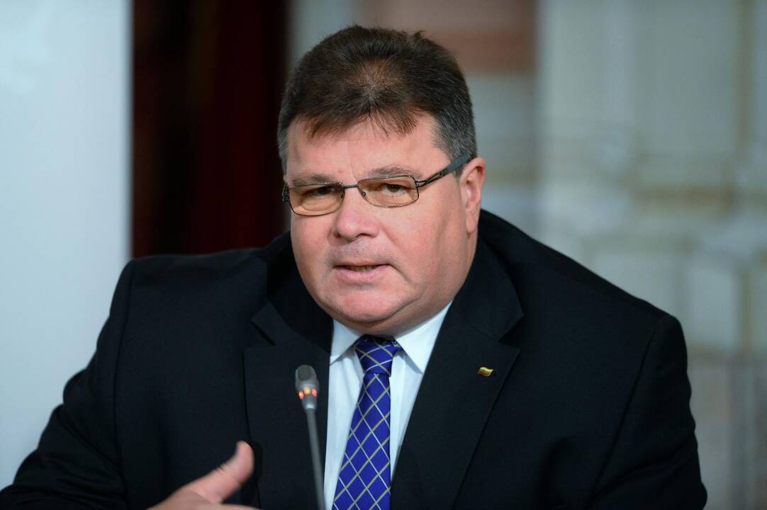 L. Linkevičius apie ES ir Ukrainos derybas: Europa nieko nestabdė
