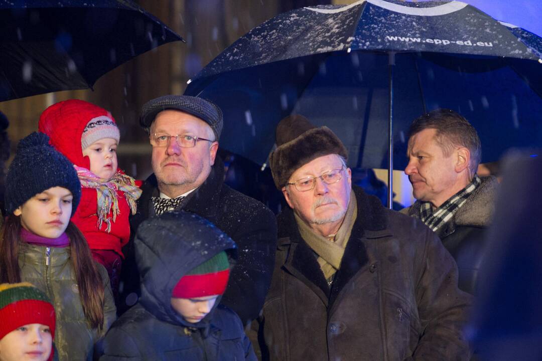 Laisvės laužai prie Seimo