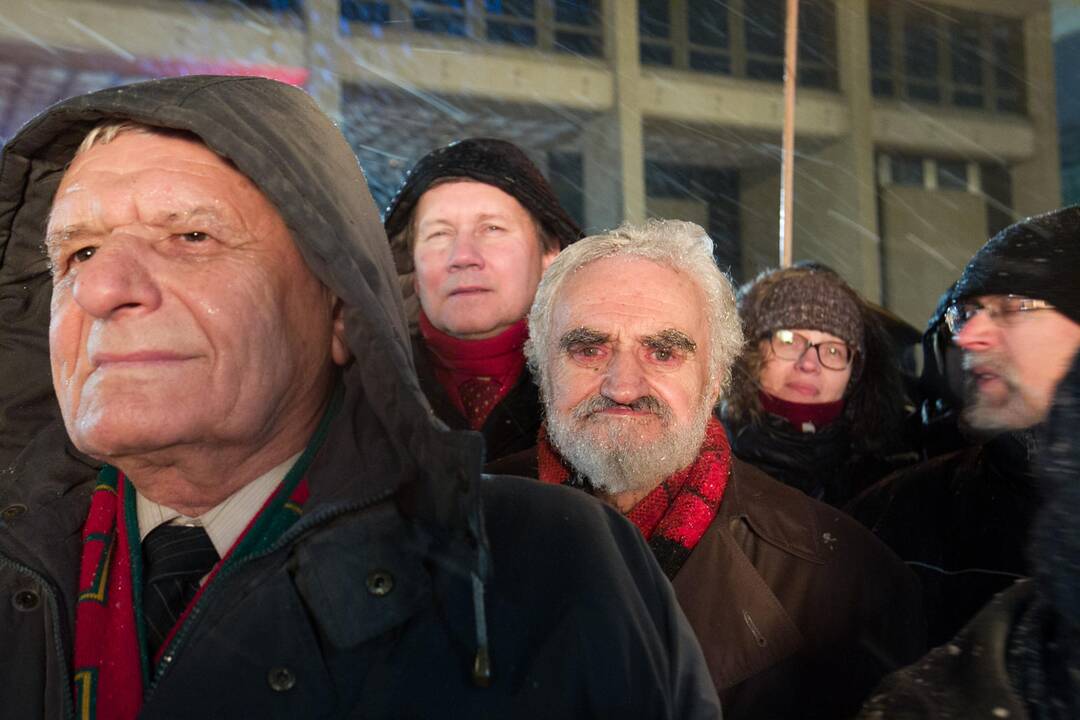 Laisvės laužai prie Seimo