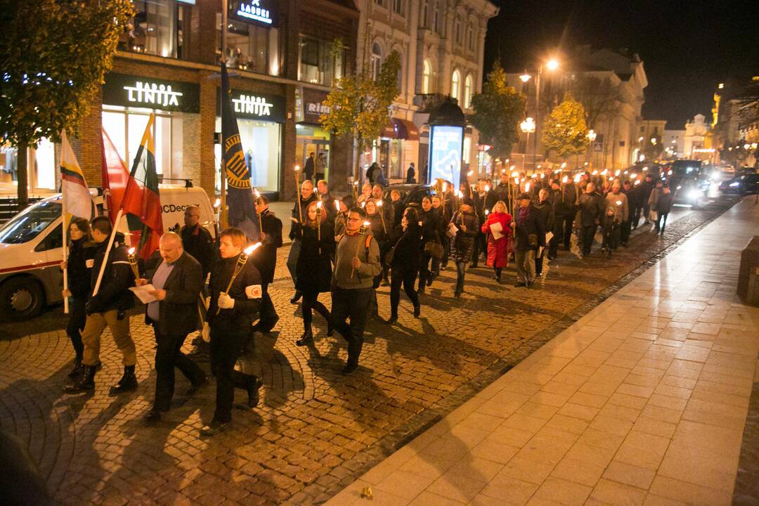 Lietuvos tautinio jaunimo sąjungos eisena