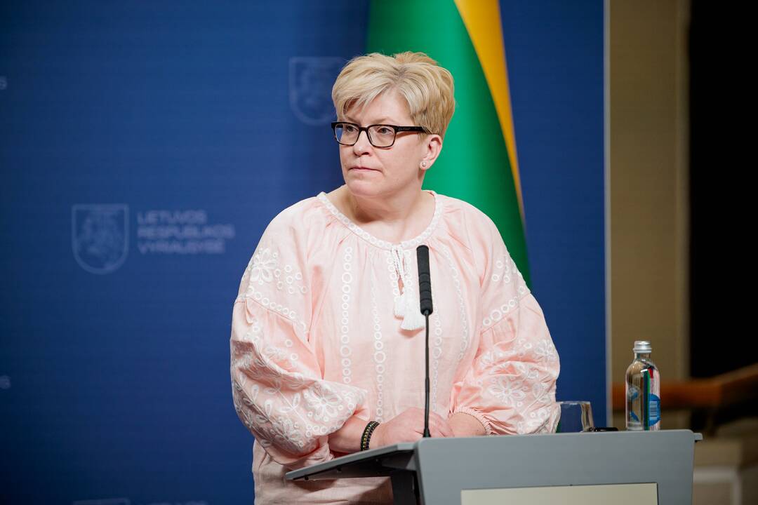 Gediminas Kirkilas ir Gitanas Nausėda