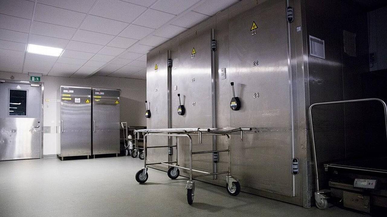 Darbe daugiau mirusiųjų nei gyvųjų matęs ekspertas: kodėl tokia neteisybė