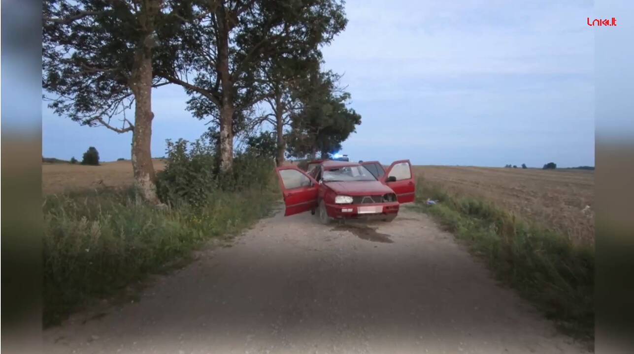 Per girto vairuotojo sukeltą avariją žuvo berniukas