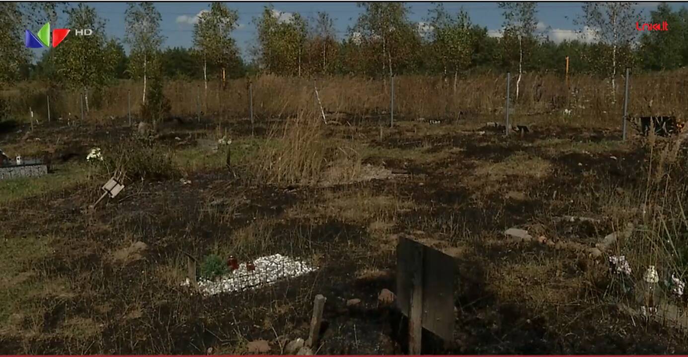 Nusiaubtos gyvūnų kapinės