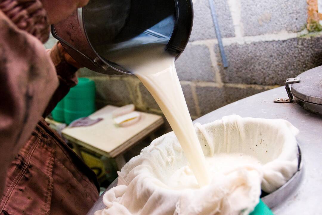 Rusai nenusileidžia: lietuviškus pieno produktus apskundė ir pasaulinei organizacijai