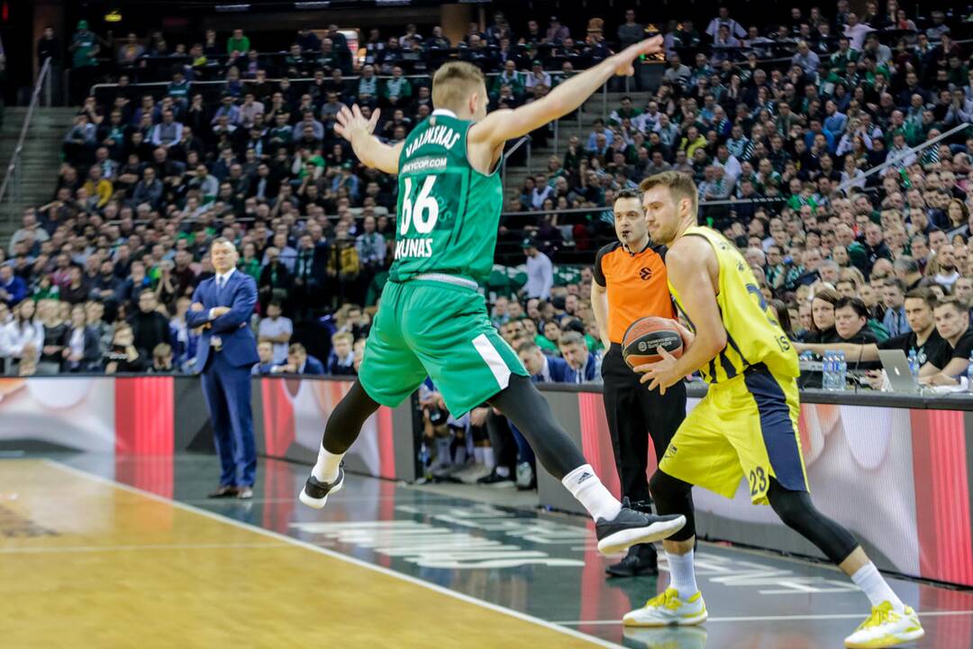 Kauno „Žalgiris“ - Stambulo „Fenerbahce“