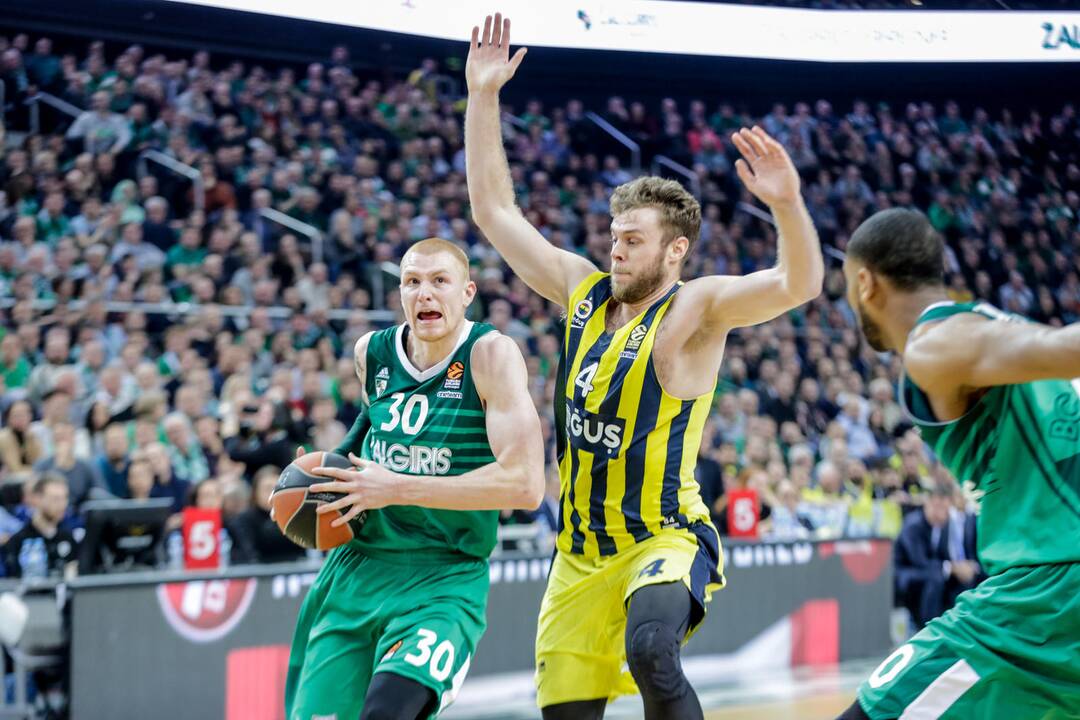 Kauno „Žalgiris“ - Stambulo „Fenerbahce“