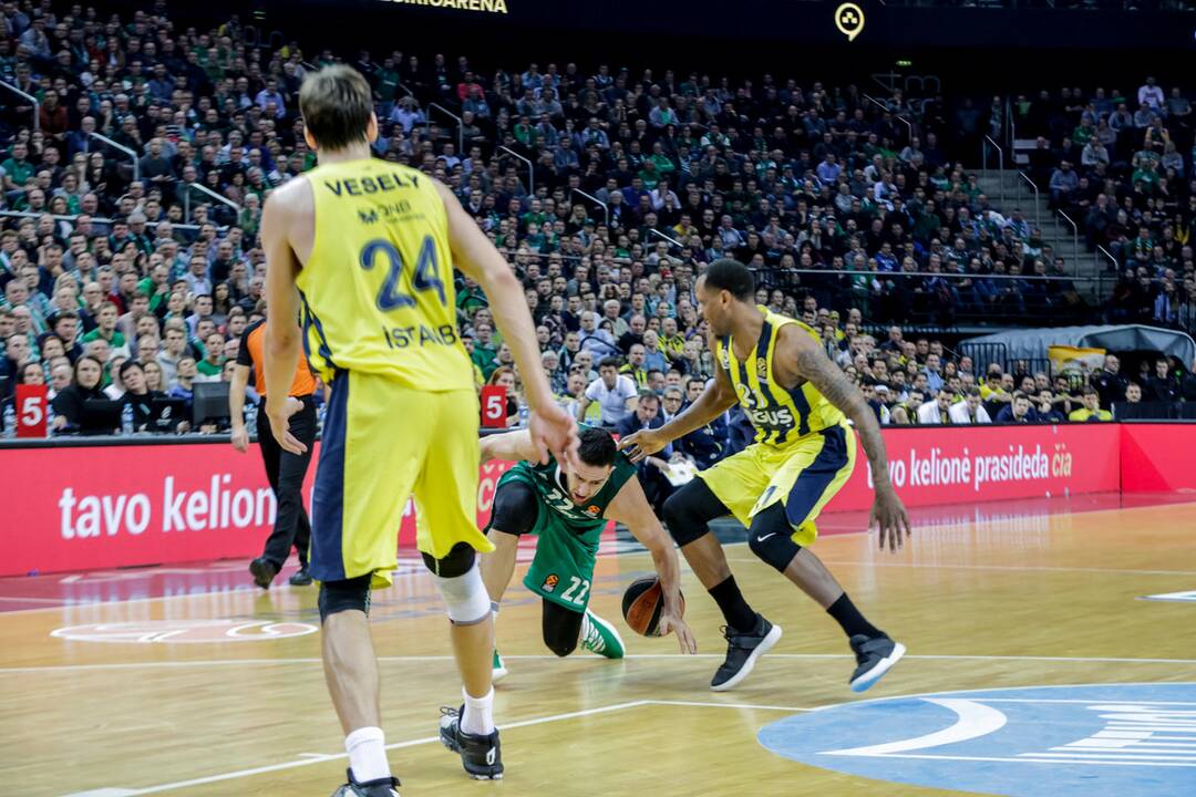 Kauno „Žalgiris“ - Stambulo „Fenerbahce“