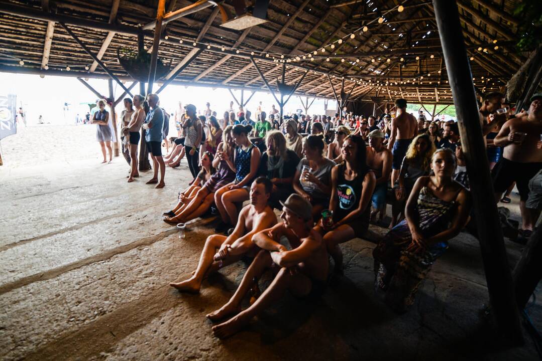 Festivalio „Bliuzo naktys“ akimirkos