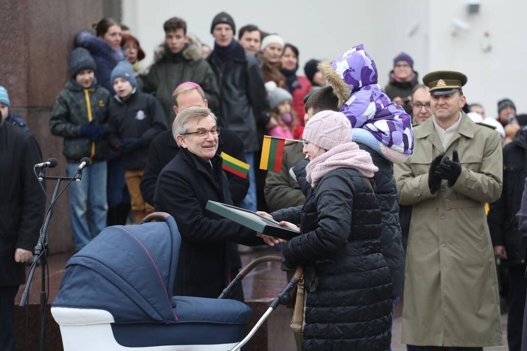 Gedimino pilies bokštui – nauja trispalvė