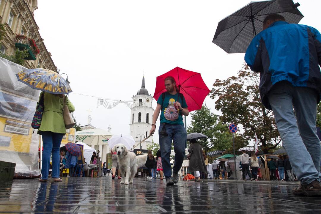 Sostinės dienos 2015