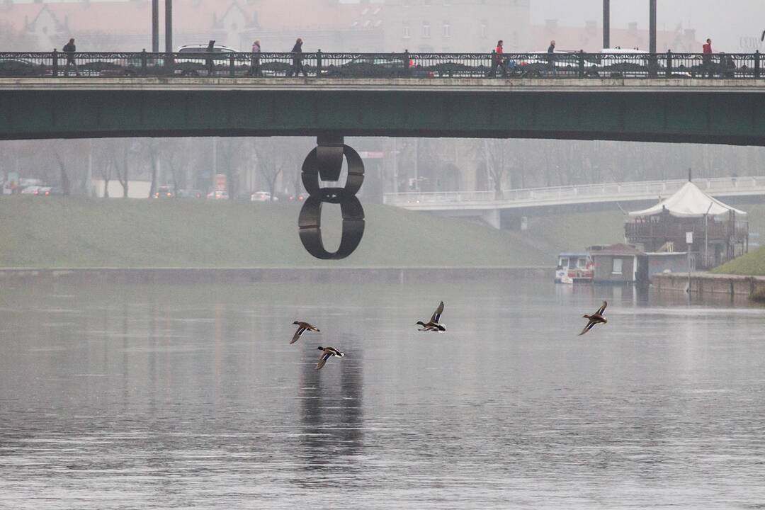 Suremontuoti pirmieji 500 metrų Neries krantinės