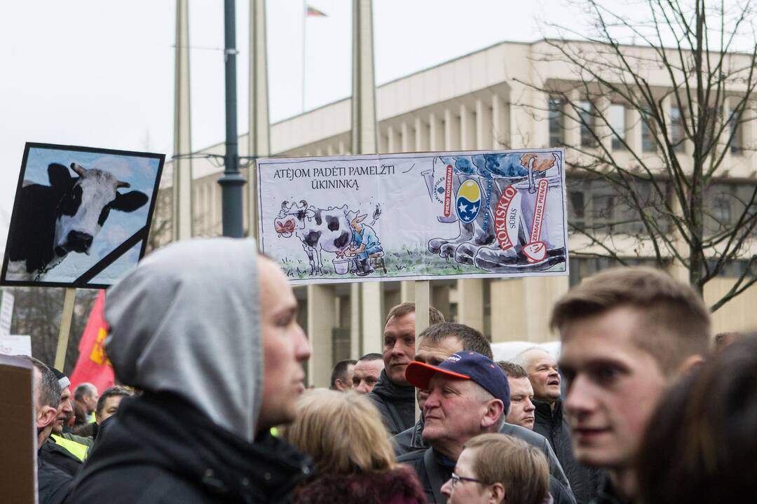 Pieno gamintojų protesto akcija