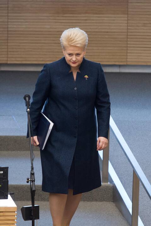 D. Grybauskaitės metinis pranešimas Seime