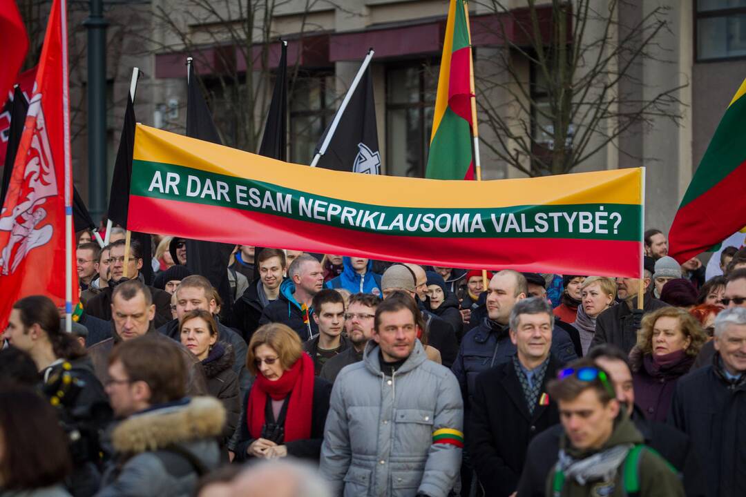 Patriotinės eitynės „Tėvynei“ sostinės Gedimino prospektu