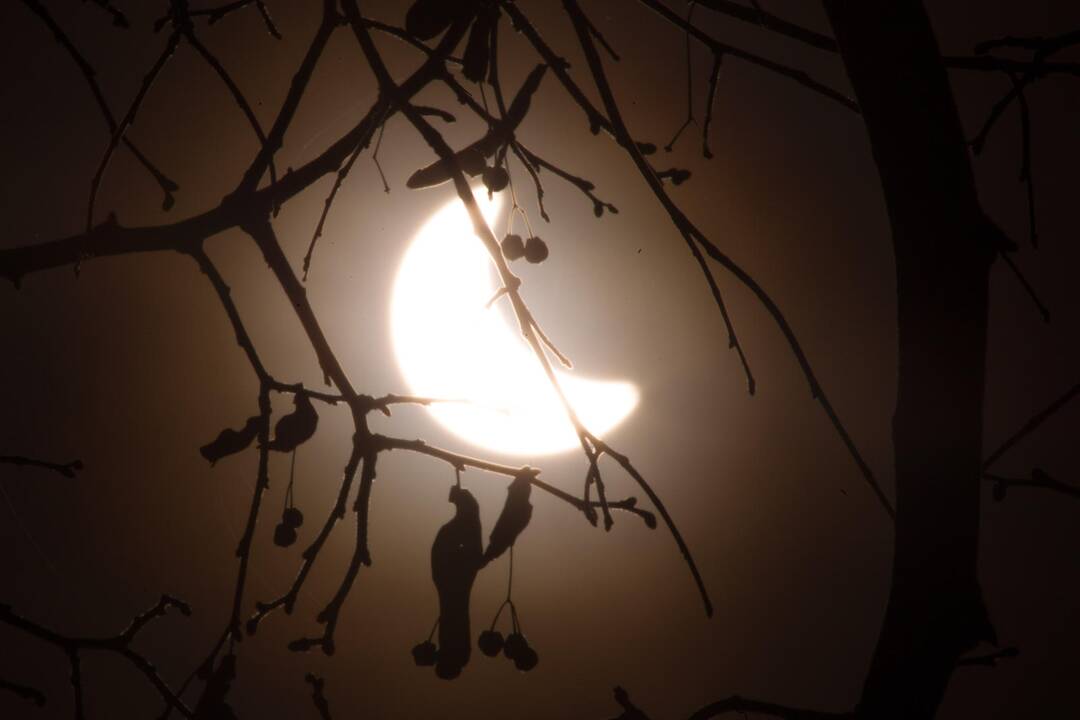 Vilniečiai stebėjo saulės užtemimą