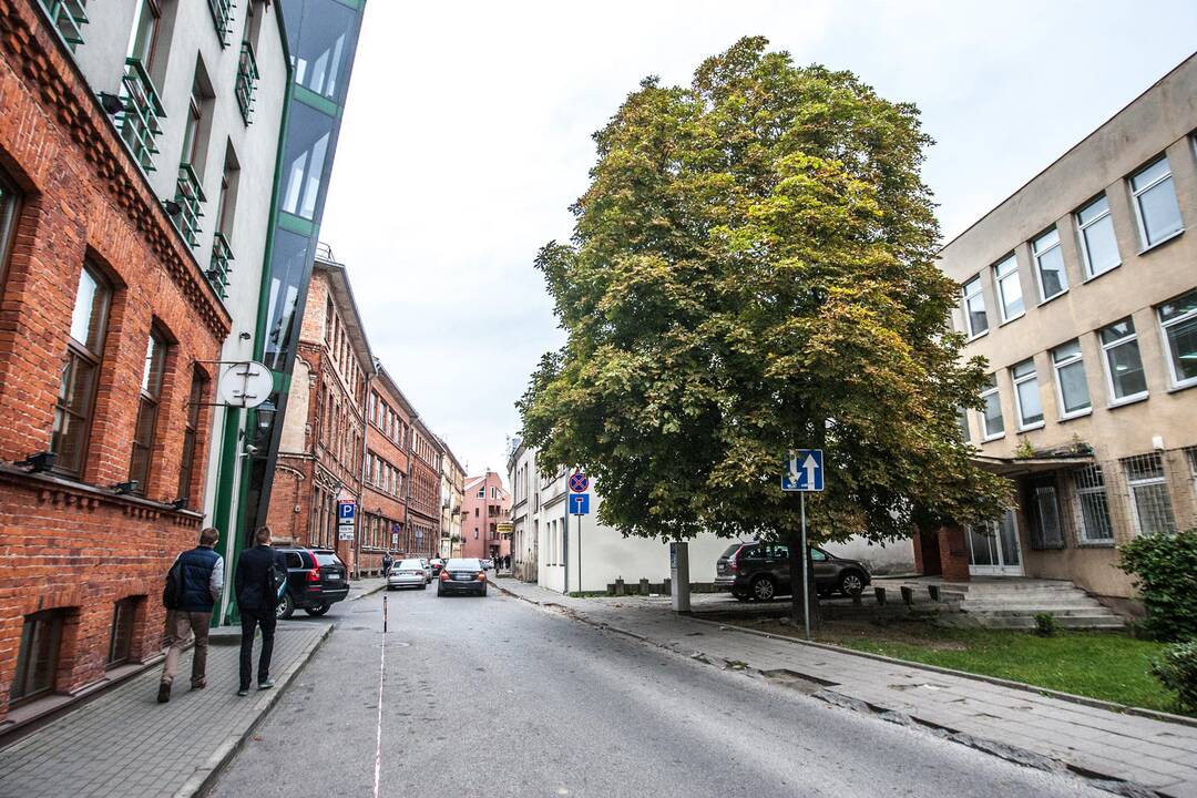 Pasivaikščiojimas J. Gruodžio gatve
