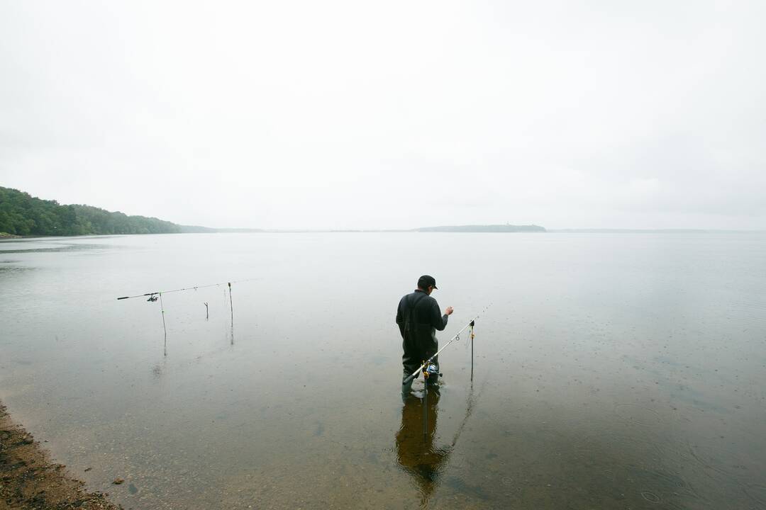 Kauno marių regioninis parkas