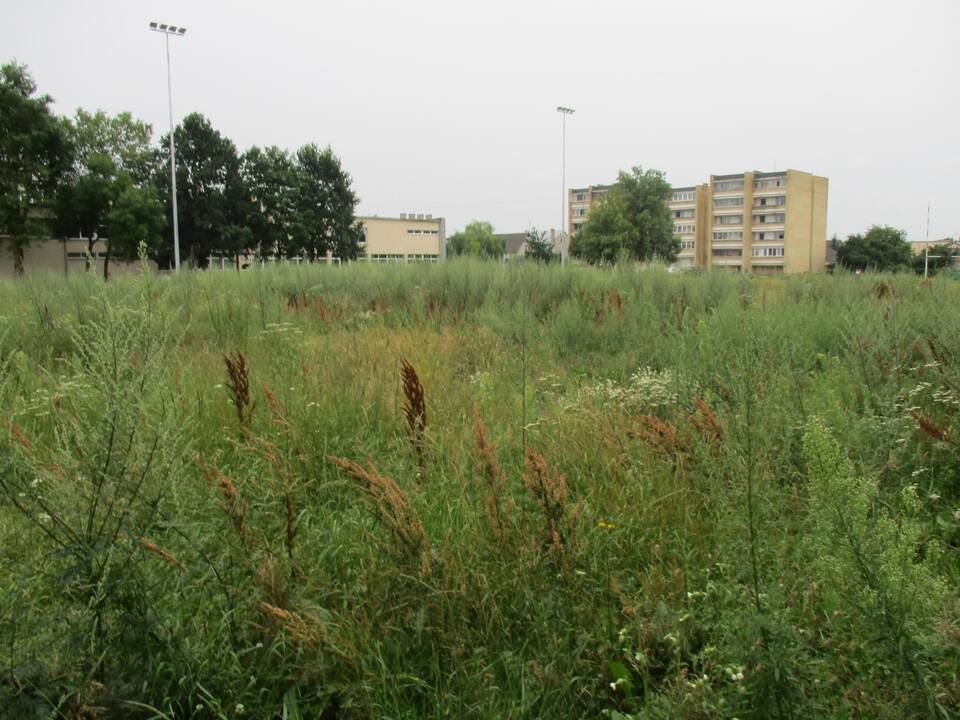 Pradėtas tvarkyti apleistas stadionas