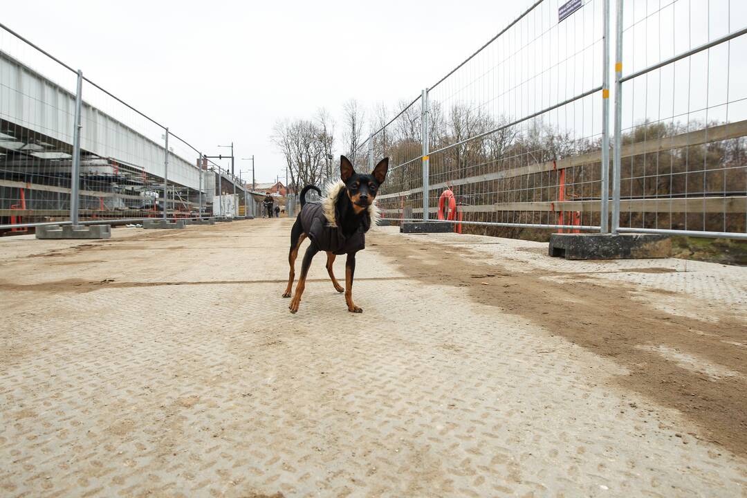 Panemunės tiltas atvertas pėstiesiems