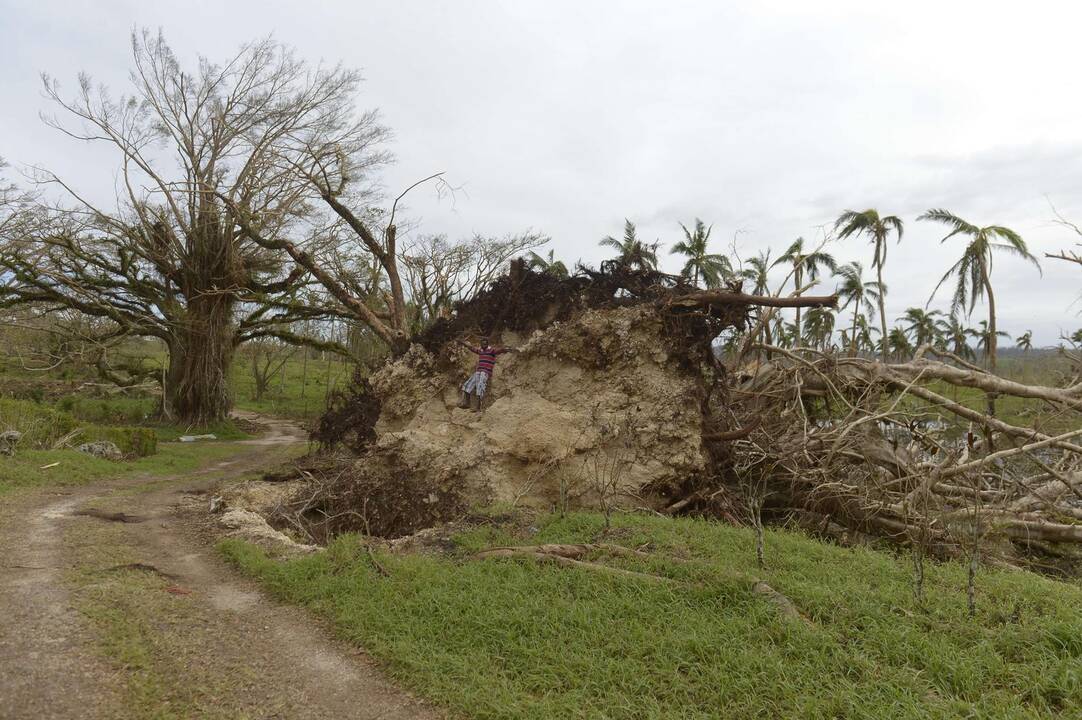 Vanuatu atsigauna po pragaištingos stichijos