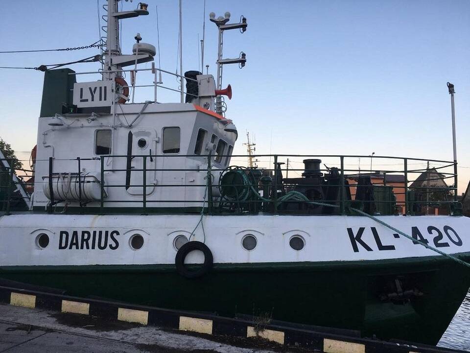 Laimikis: iš rastos santalkos į tralą pakliuvusios žuvys.
