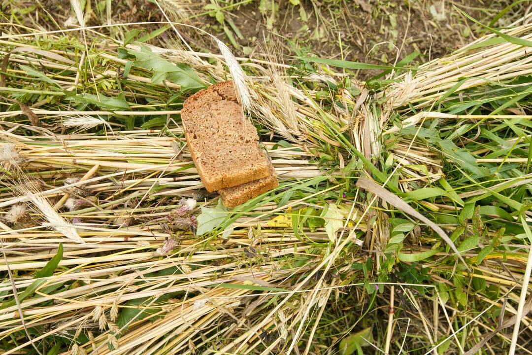 Naujo derliaus ir Onų vardinės Rumšiškėse