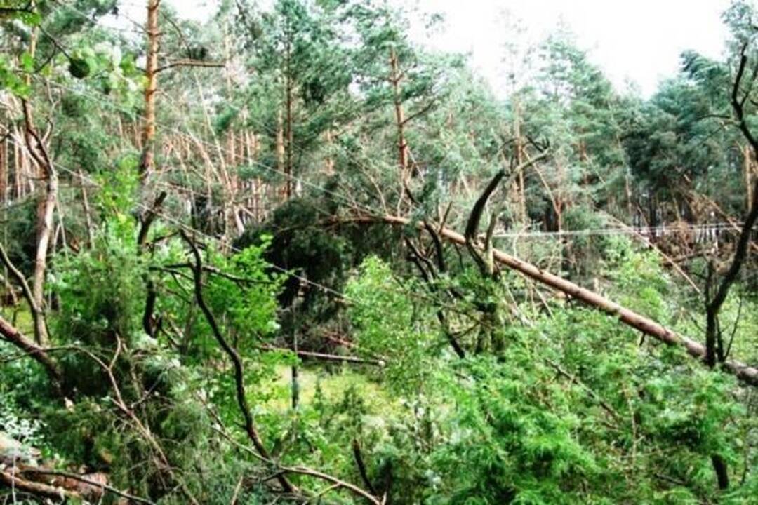 Šiandien elektros tiekimą RST planuoja atnaujinti daugumai vartotojų 