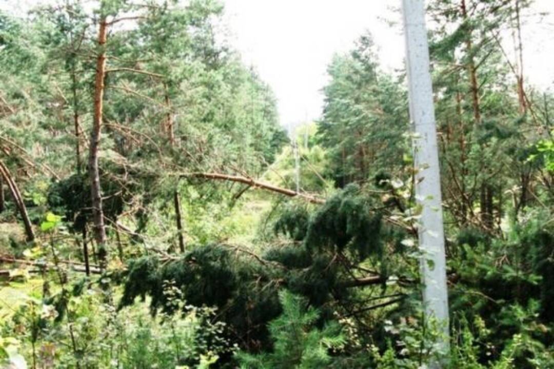 Šiandien elektros tiekimą RST planuoja atnaujinti daugumai vartotojų 