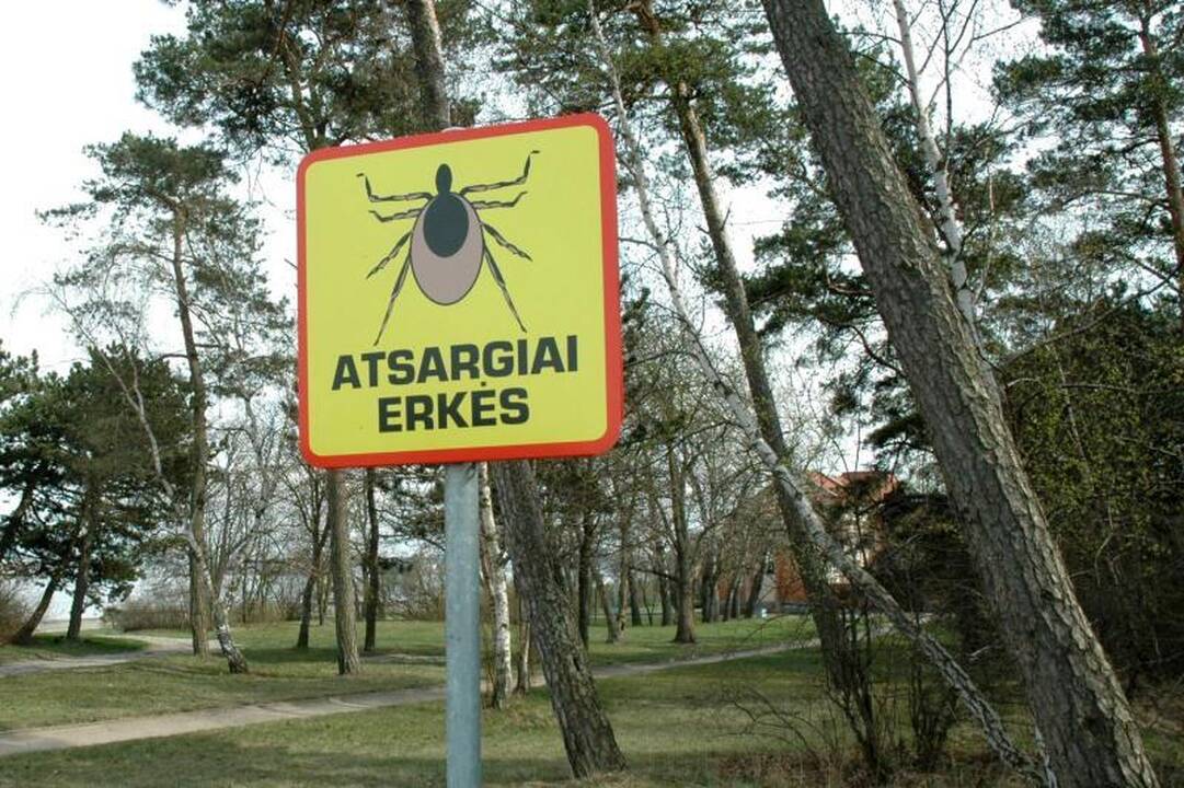 Vilniuje nuo erkinio encefalito mirė vyras