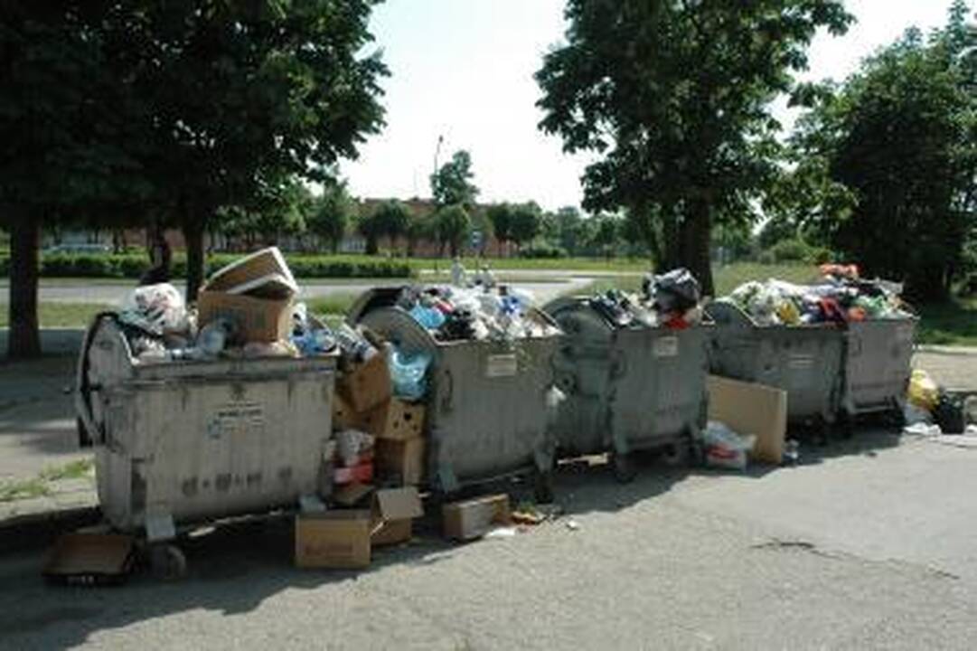 Verslininkus palaikančių politikų gretos gausėja
