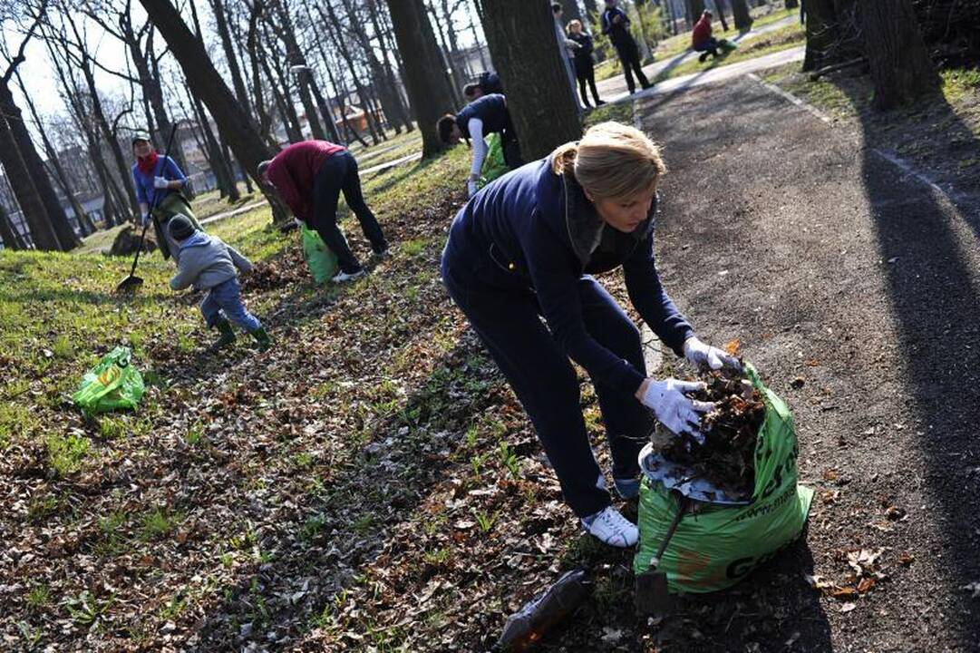 Kaune šiukšlės kuoptos ir iš parkų, ir iš karjero dugno