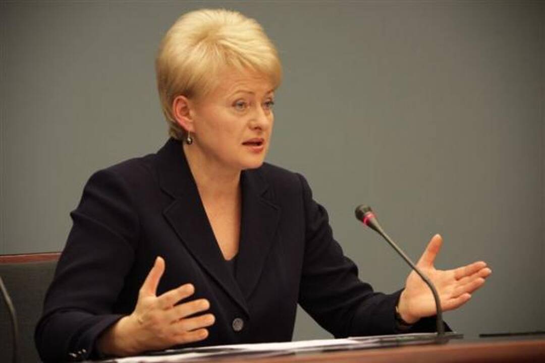 Prezidentė dėl CŽV kalėjimo Lietuvoje turi "netiesioginių įtarimų" (papildyta)